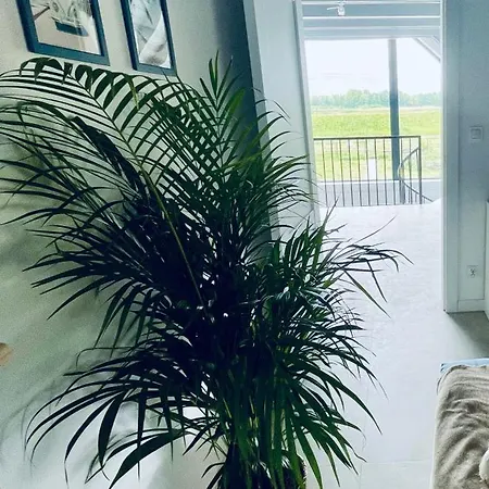 Hampton Zalew Zegrzynski * Cupel (Legionowo)