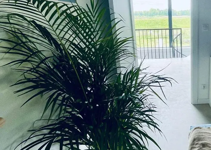 Hampton Zalew Zegrzynski * Cupel (Legionowo)